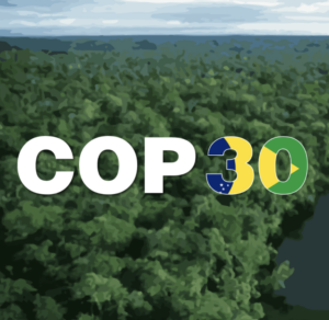 Tradução Simultânea COP 30 Tradução Simultânea COP 30