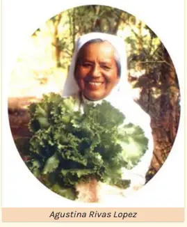 Tradução simultânea para viagem