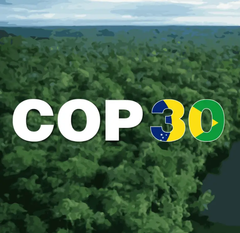 Simultaneous Translation COP 30